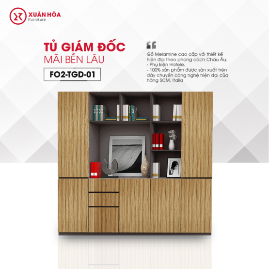 tu-van-va-thiet-ke-tu-tai-lieu-cho-phong-giam-doc-hieu-qua-va-tiet-kiem